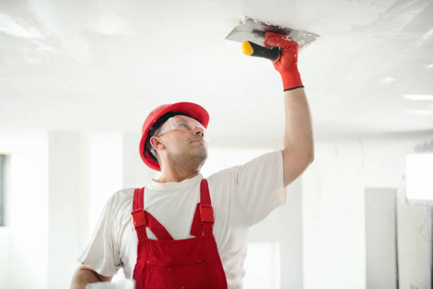 Best Residential Painting  in Midlothian, VA